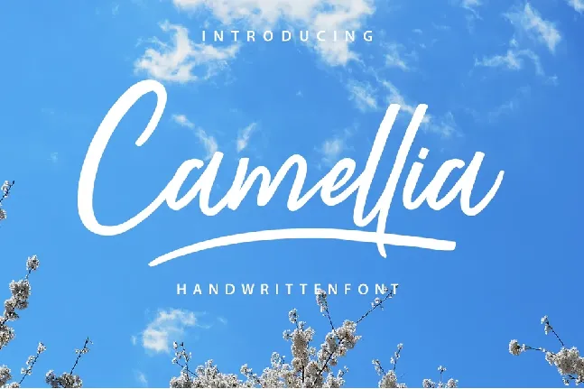 Camellia Script Free font