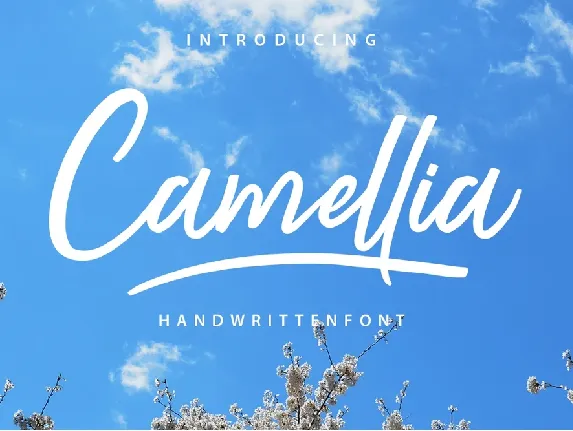 Camellia Script Free font