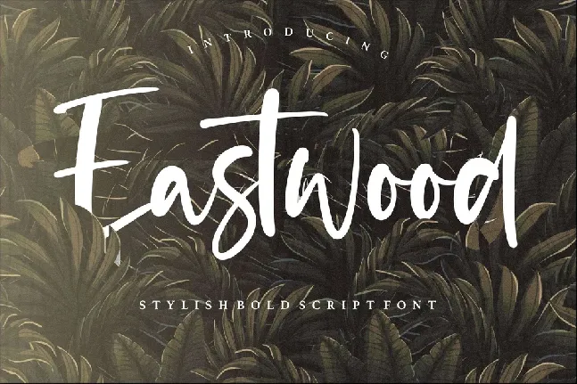 Eastwood Handwritten Script font