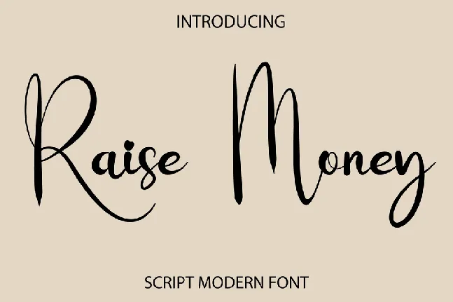 Raise Money font