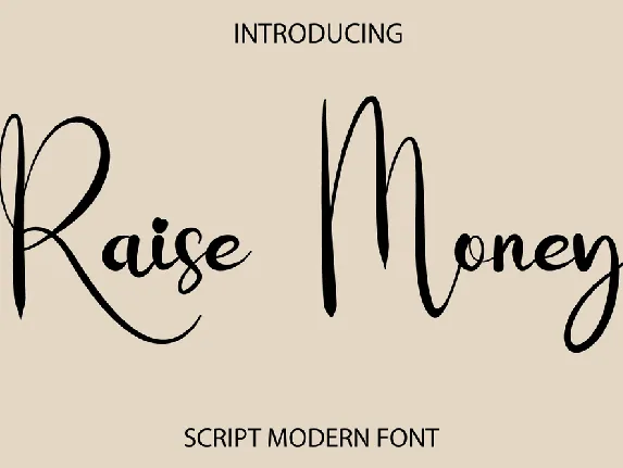 Raise Money font