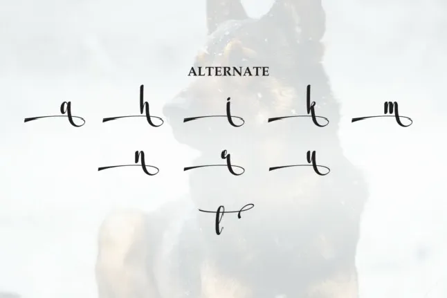 Alsatiandog Script font