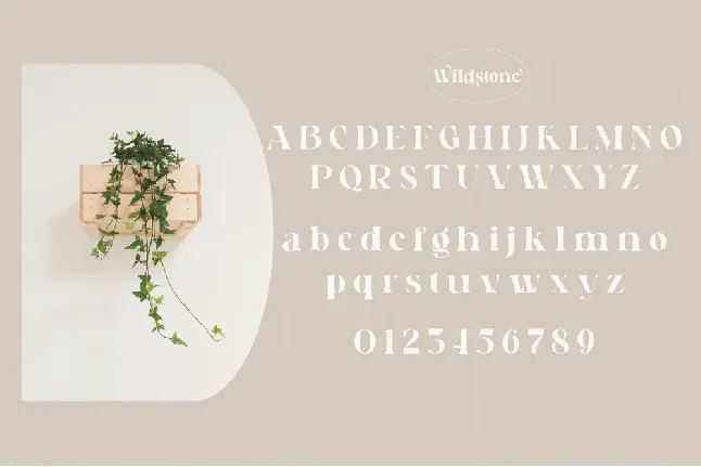 Wildstone font