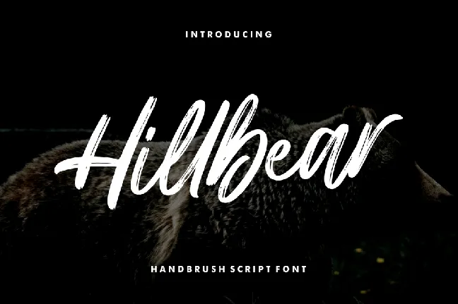 Hillbear font