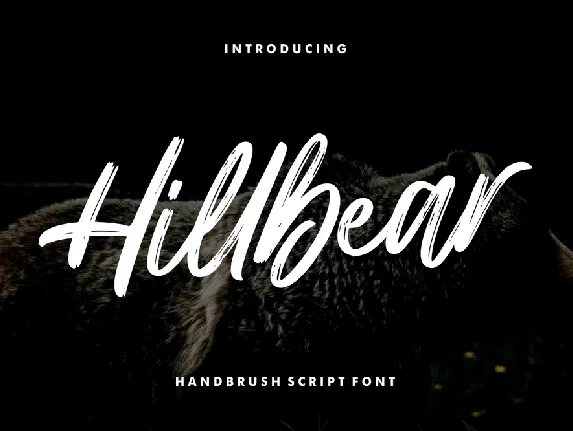 Hillbear font