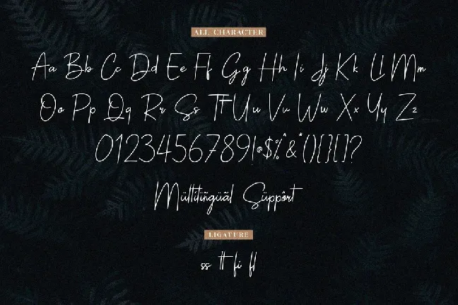 Sallyna Cattalya font