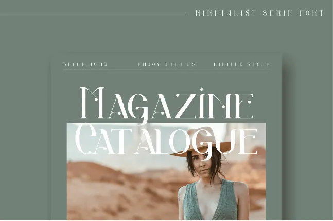 Akila Modern Display font