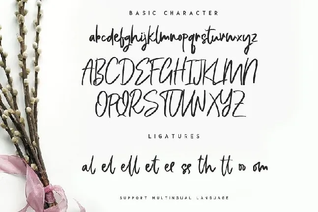 Bellevue Traveler Script font