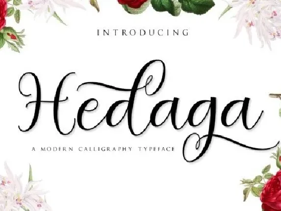 Hedaga Calligraphy font