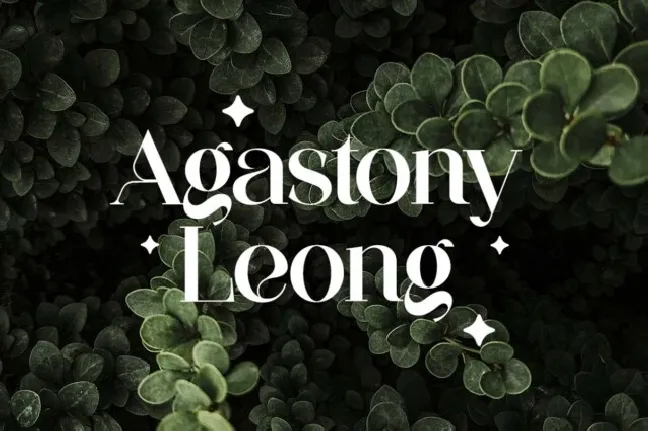 Aglycones font