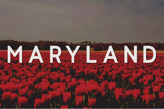 Maryland font