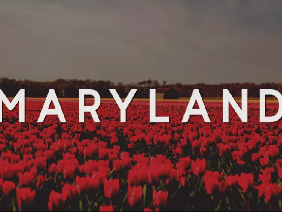 Maryland font