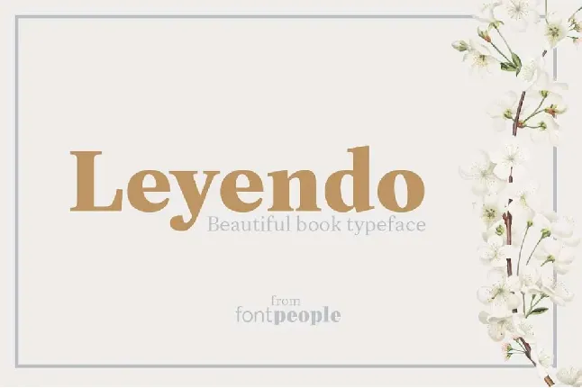 Leyendo Family font