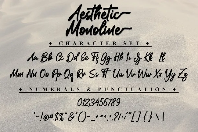 Aesthetic Monoline font