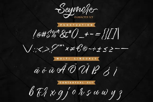 Seymore Script font