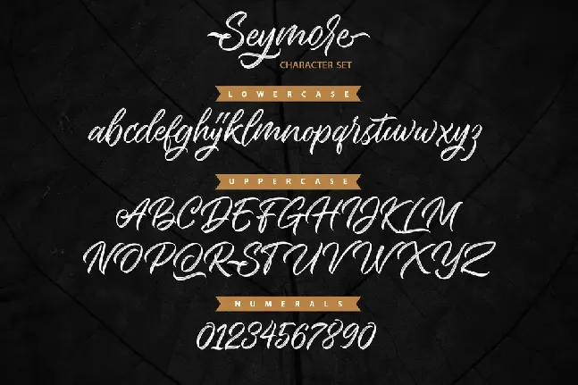 Seymore Script font