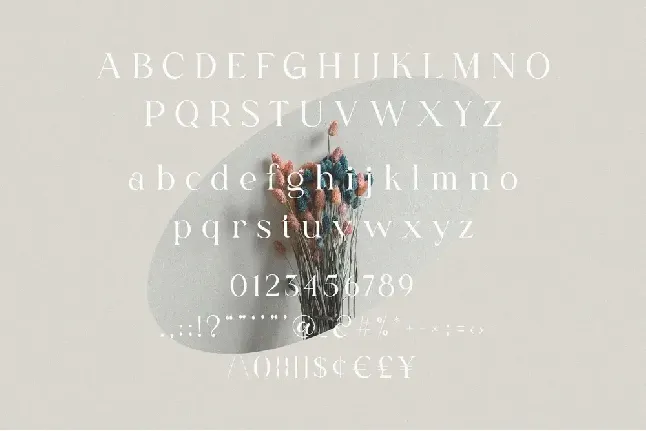 Fligen font