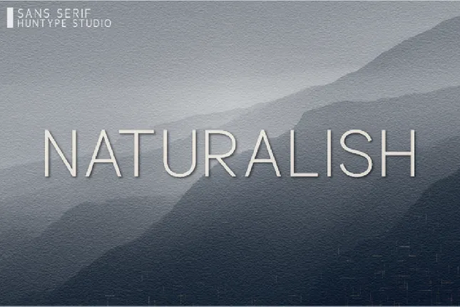 Naturalish font