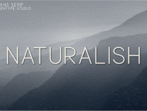 Naturalish font