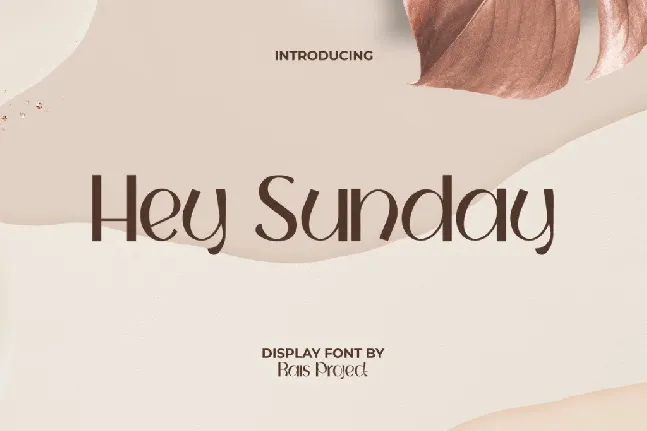 HeySundayDemo font