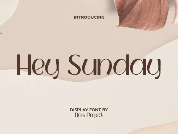 HeySundayDemo font