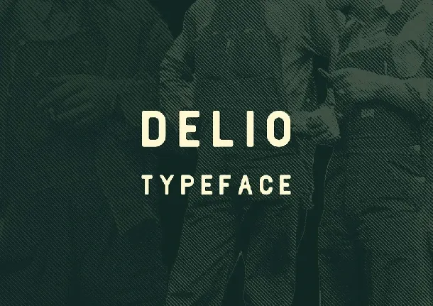 Delio Typeface Free font