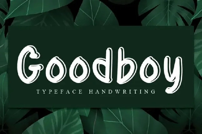 Goodboy Display font