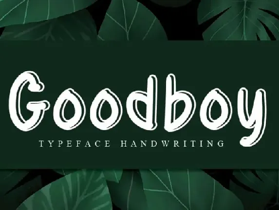 Goodboy Display font