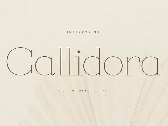 Callidora font