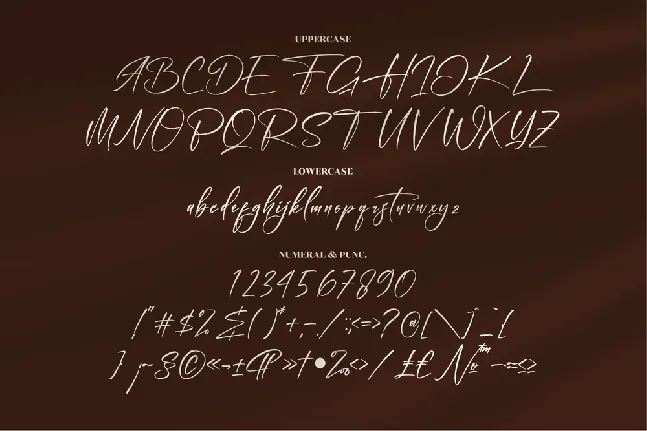 Ramontegral Signature font