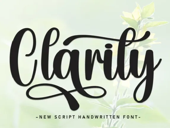 Clarity font