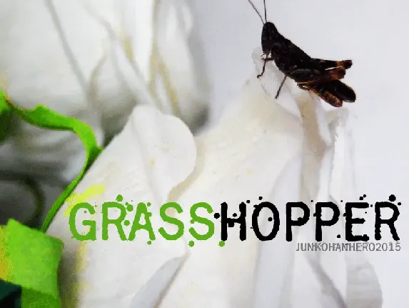 Grasshopper Z font