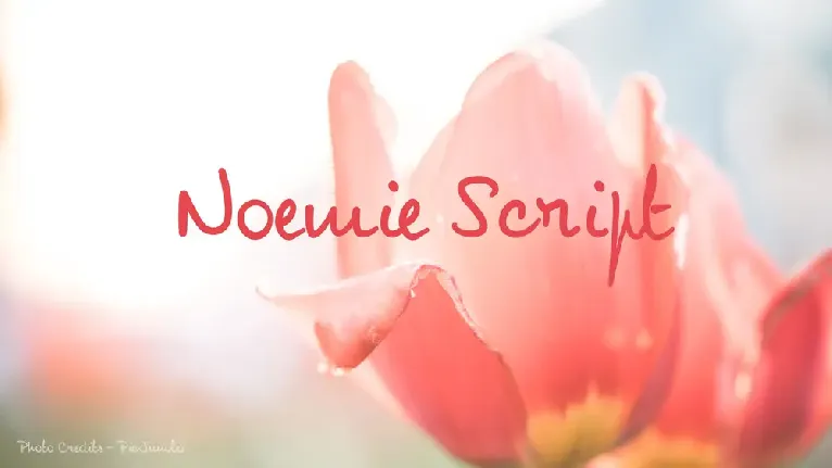 NoemieScript font