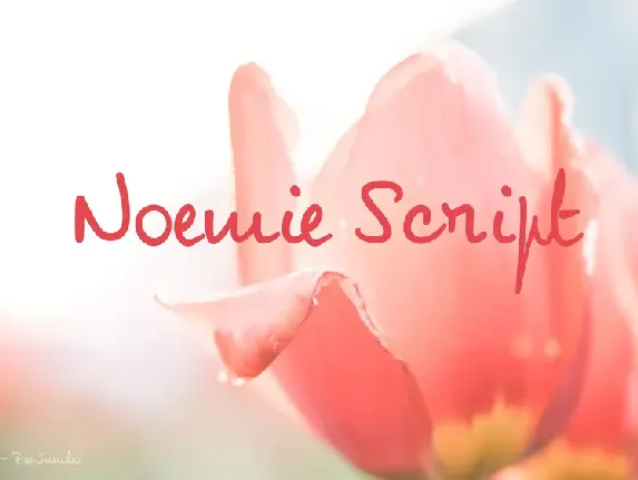 NoemieScript font