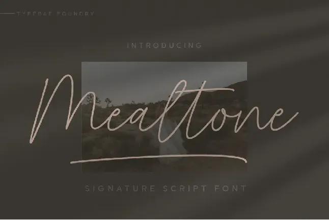 Mealtone font