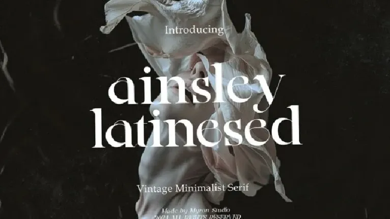 Ainsley Latinesed Family font