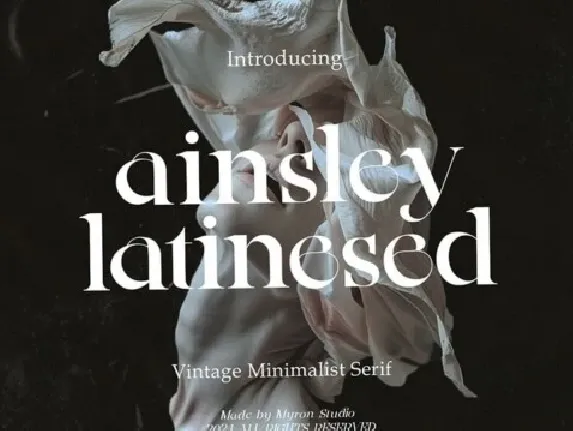 Ainsley Latinesed Family font