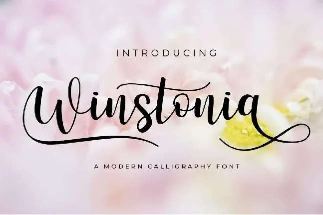 Winstonia font