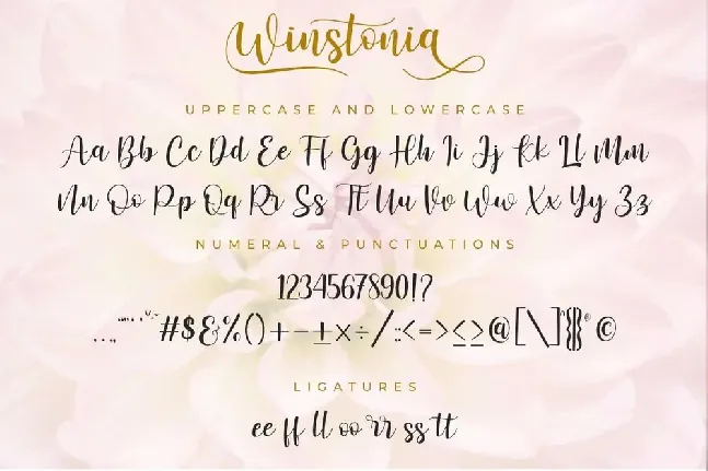 Winstonia font