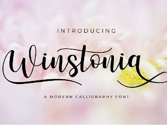 Winstonia font