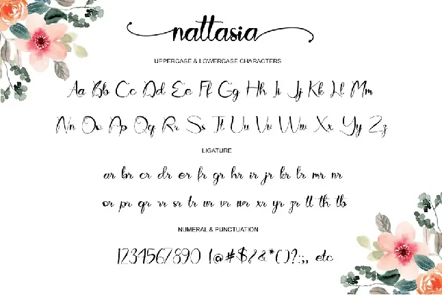 Nattasia - Personal Use font