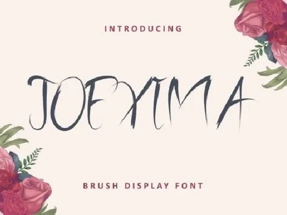 Joexima Brush font