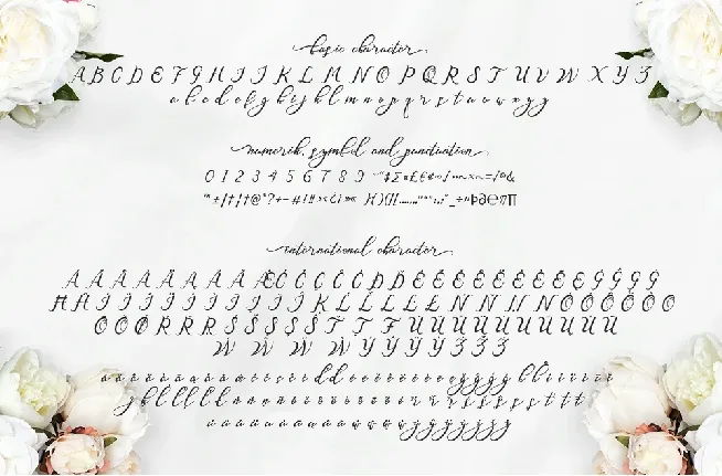 Nazeefa Script Free font