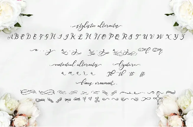 Nazeefa Script Free font