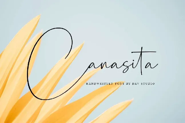 Canasita Handwritten Script font