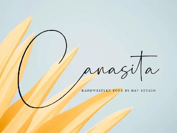 Canasita Handwritten Script font