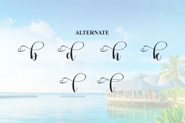 Paradise Script font