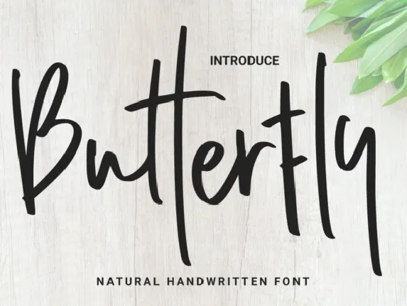 Butterfly Handwritten Typeface font