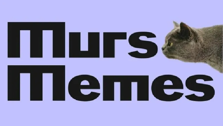 Murs Memes font