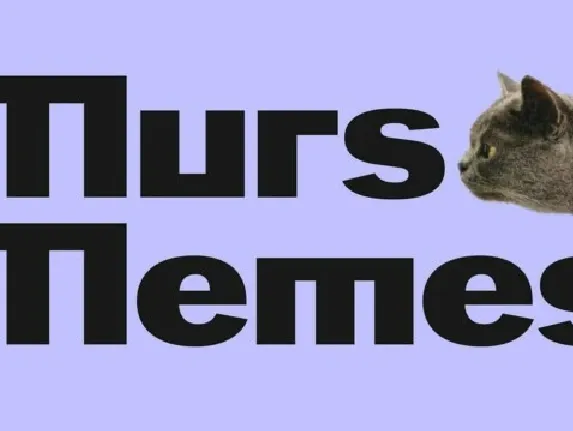 Murs Memes font